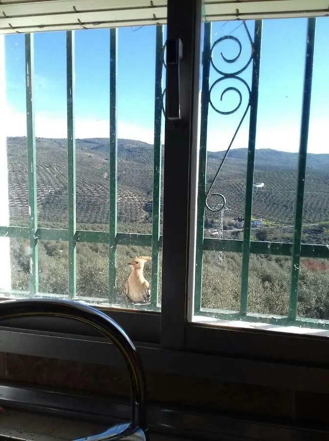 Alojamiento Rural Luis Y Maria Villa Villanueva De Algaidas 0*,